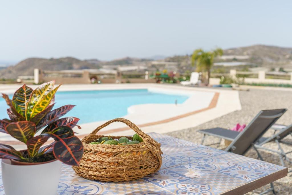 CORTIJO OHANA photo 4