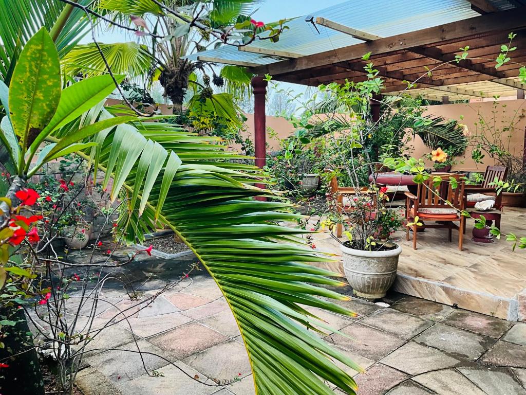 Effie Mountain View coco villa photo 3