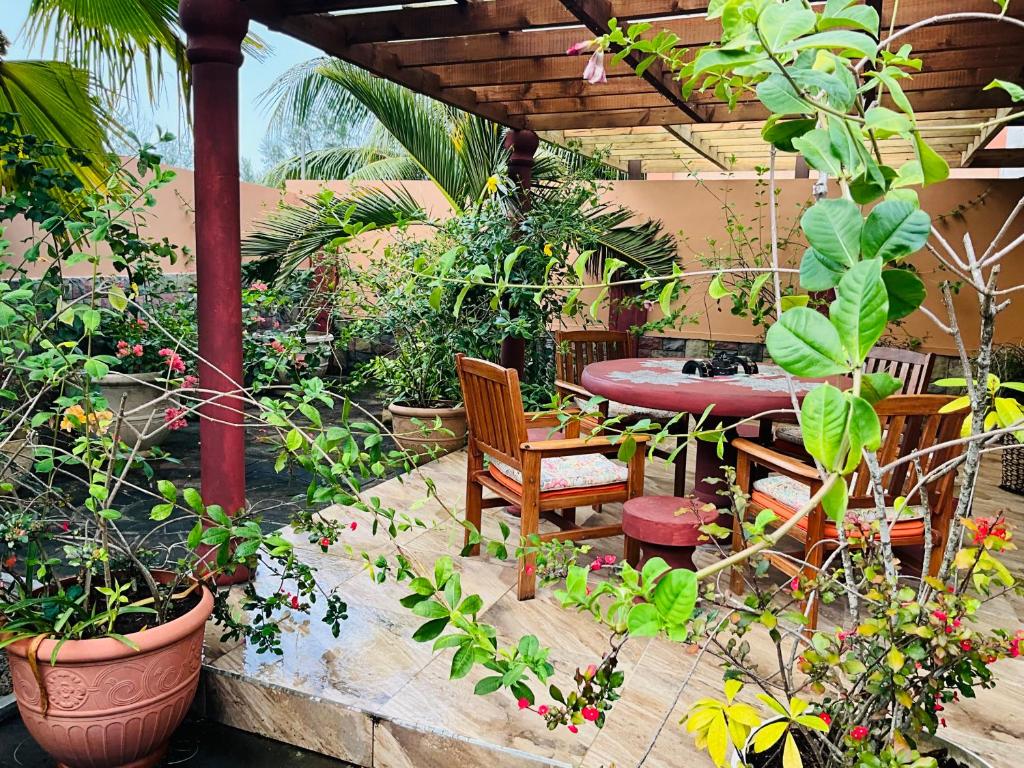 Effie Mountain View coco villa photo 4