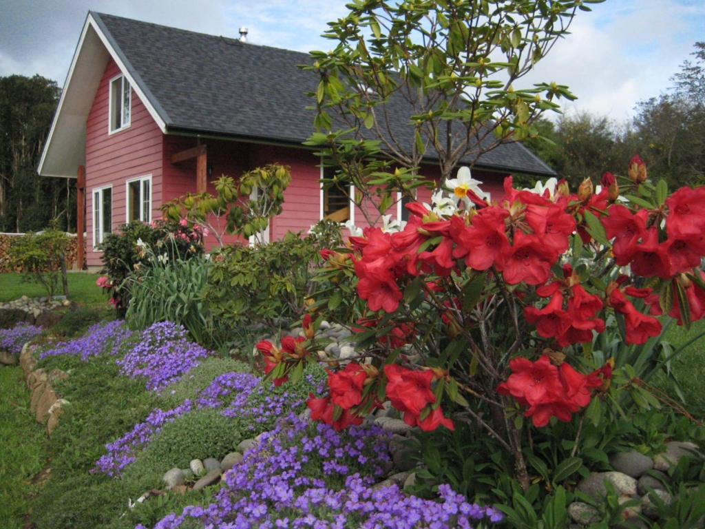 Casa Viña photo 2