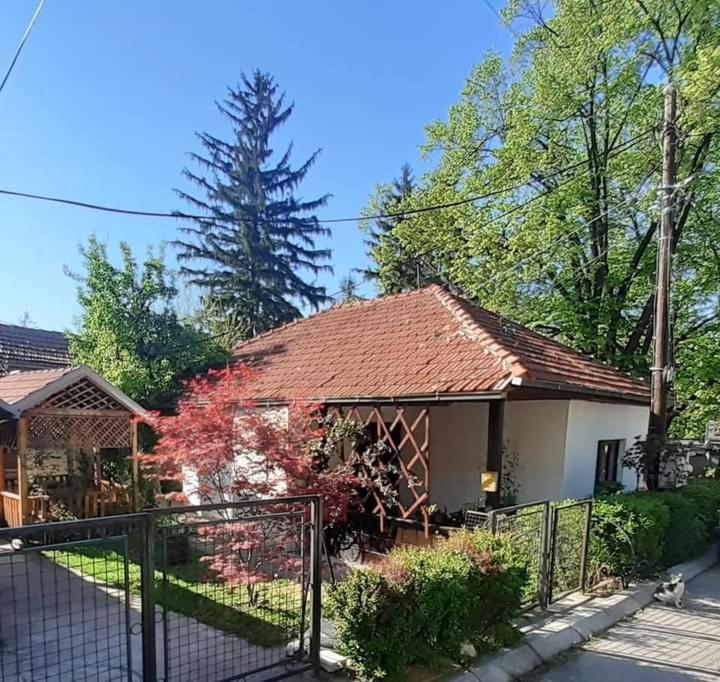 Kuca za odmor Ana, Sokobanja