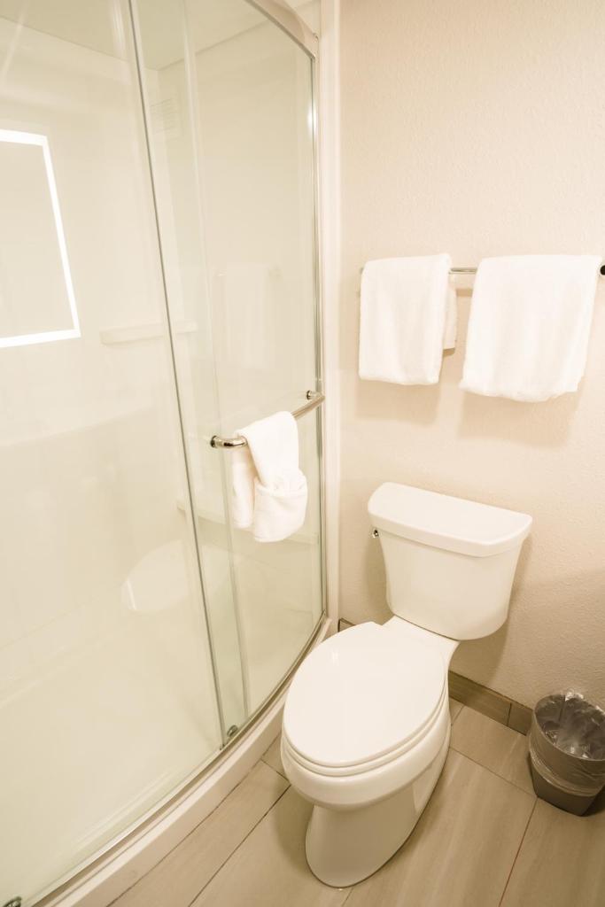 Holiday Inn Express Hotel & Suites Knoxville-North-I-75 Exit 112, an IHG Hotel photo 3