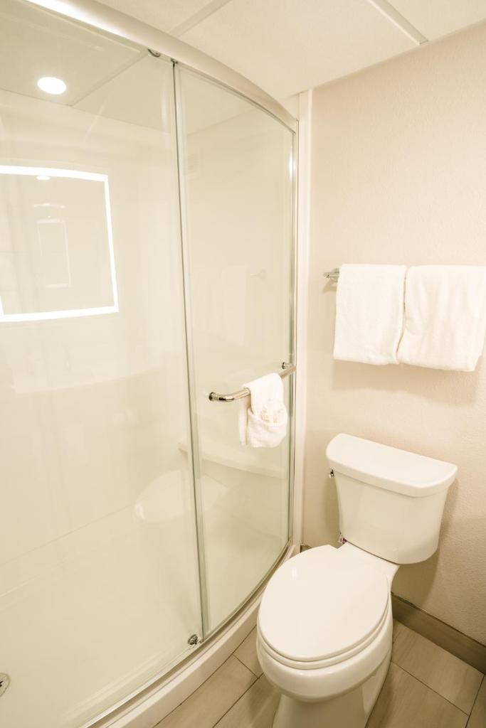 Holiday Inn Express Hotel & Suites Knoxville-North-I-75 Exit 112, an IHG Hotel photo 4