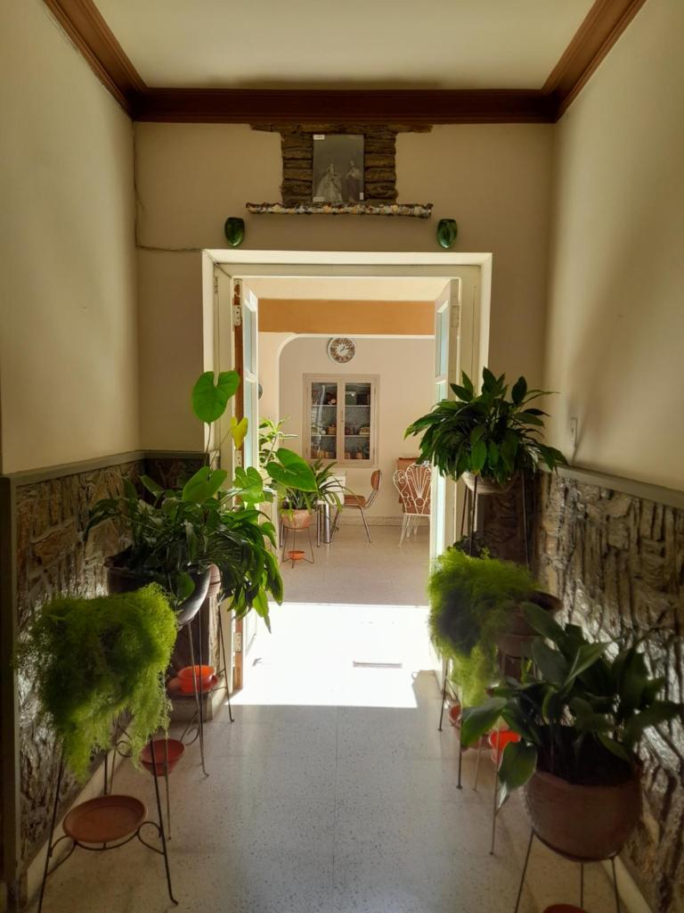 Preciosa Casa Centrica y Acogedora photo 3