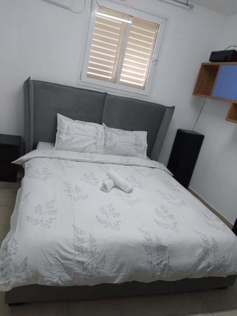 NBF house for rent photo 3