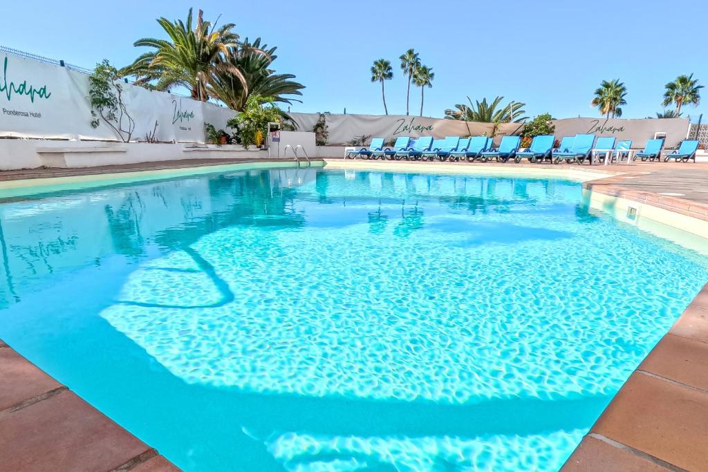 Stunning Apartment with Ocean View photo 4