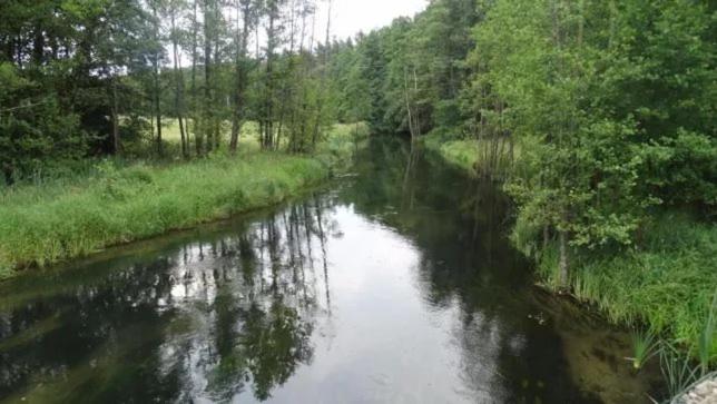 Agroturystyka u Wioli i Irka , apartament u Uli photo 4