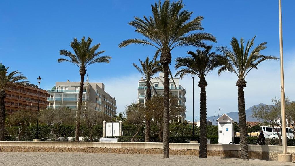 Ático Parque Salinas BEACHFRONT photo 3