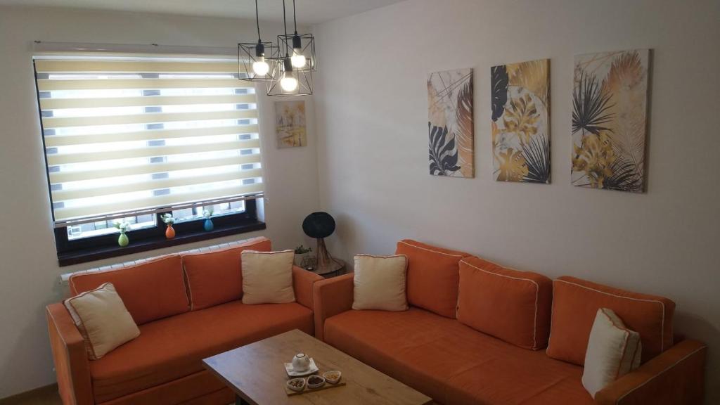 Apartman Stan ,Istocno Sarajevo 26 photo 3