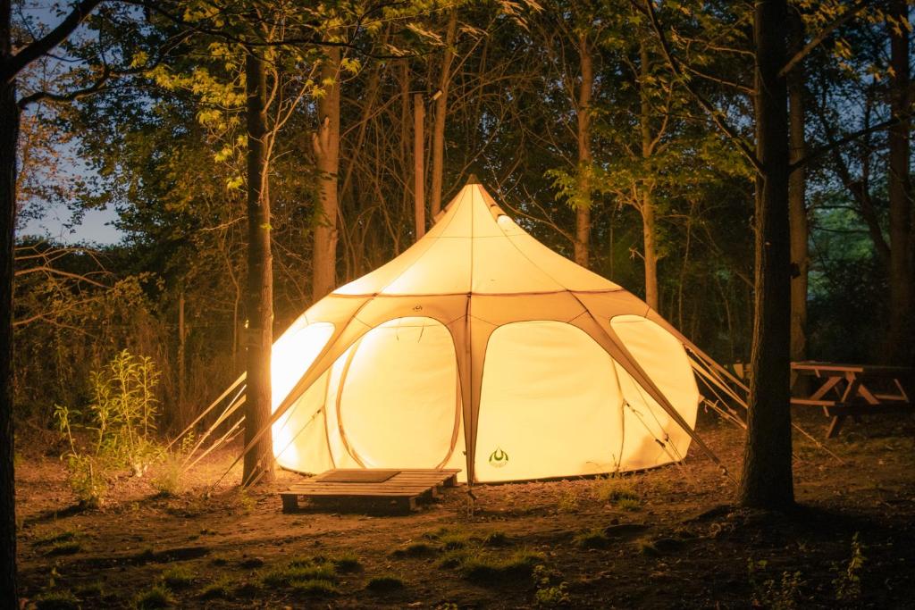 Glamping Remanso del Espíritu photo 2
