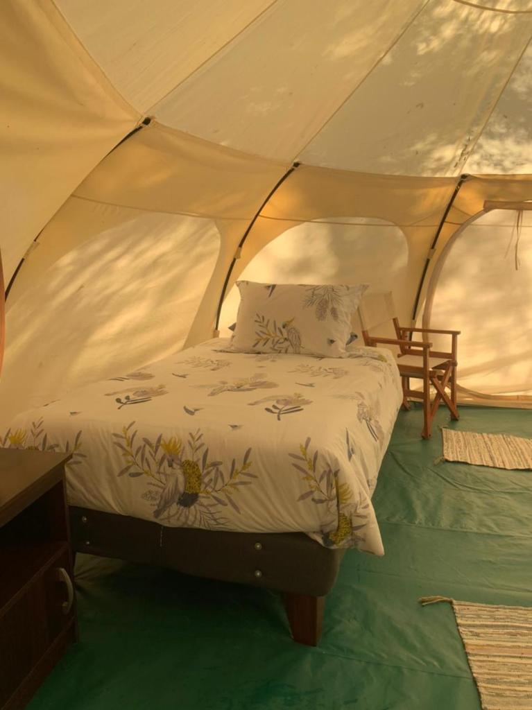 Glamping Remanso del Espíritu photo 4