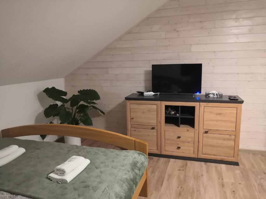 PENZION BAŠKA VODA CZ photo 4