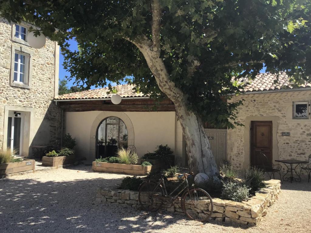 Domaine Chamarel photo 4