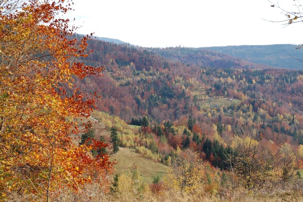Chata Trapera na Groniu photo 3