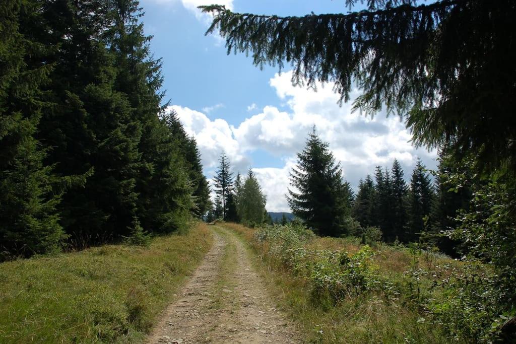 Chata Trapera na Groniu photo 4
