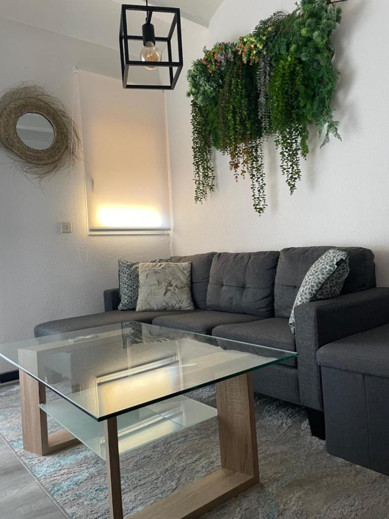 Apartamento El Cuco photo 3