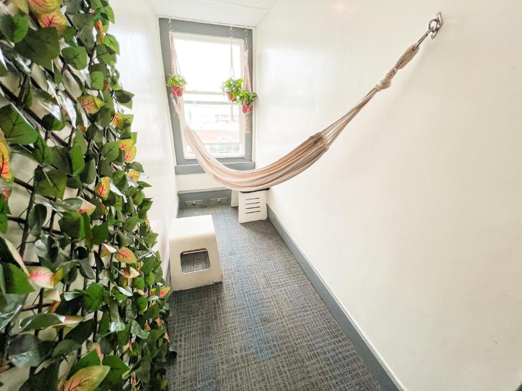 ITH Hermosa Beach Surf Hostel LAX - Tap to explore photos