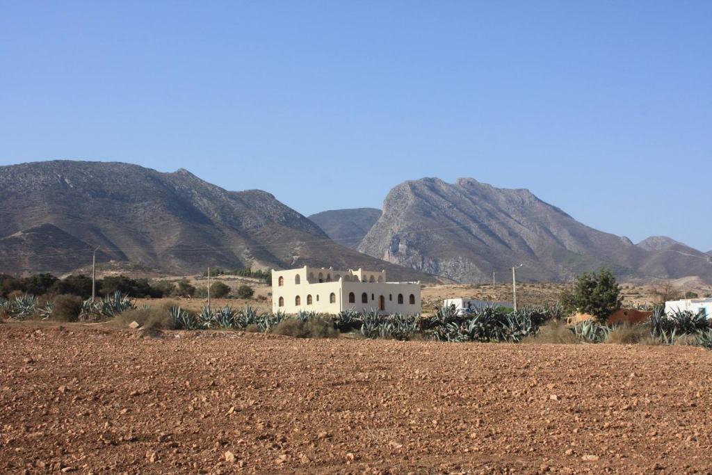 Riad Kebdana photo 4