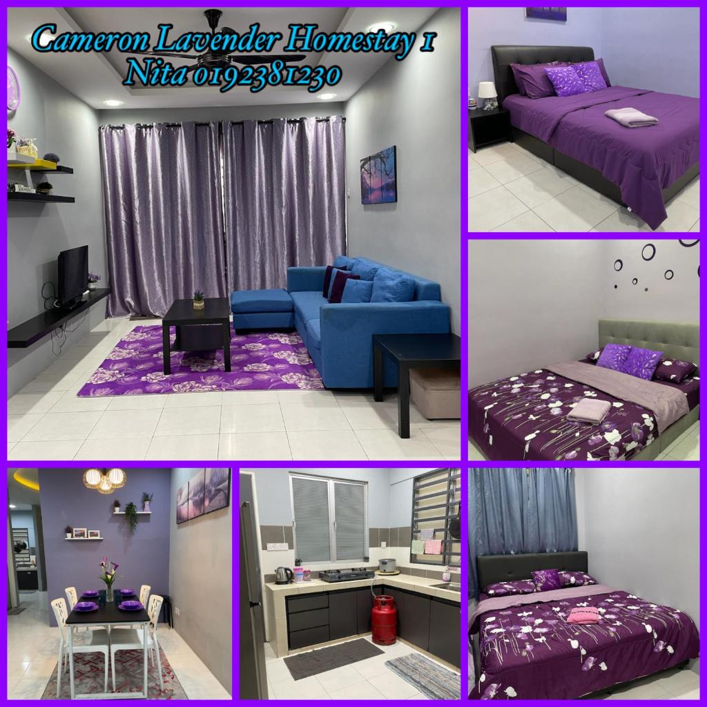 Cameron Lavender Homestay