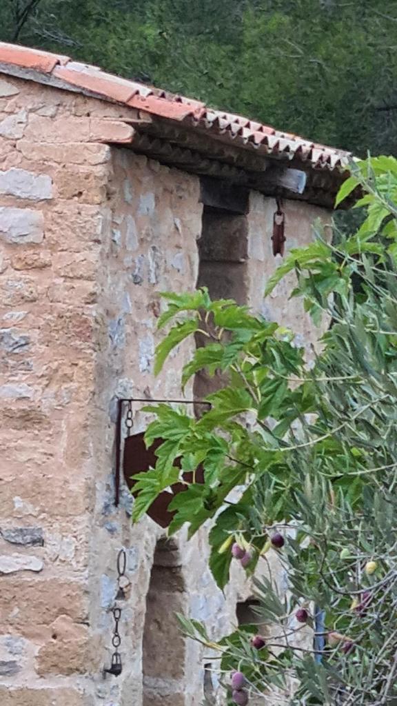 APPARTEMENT DANS HAMEAU PROVENCAL photo 3