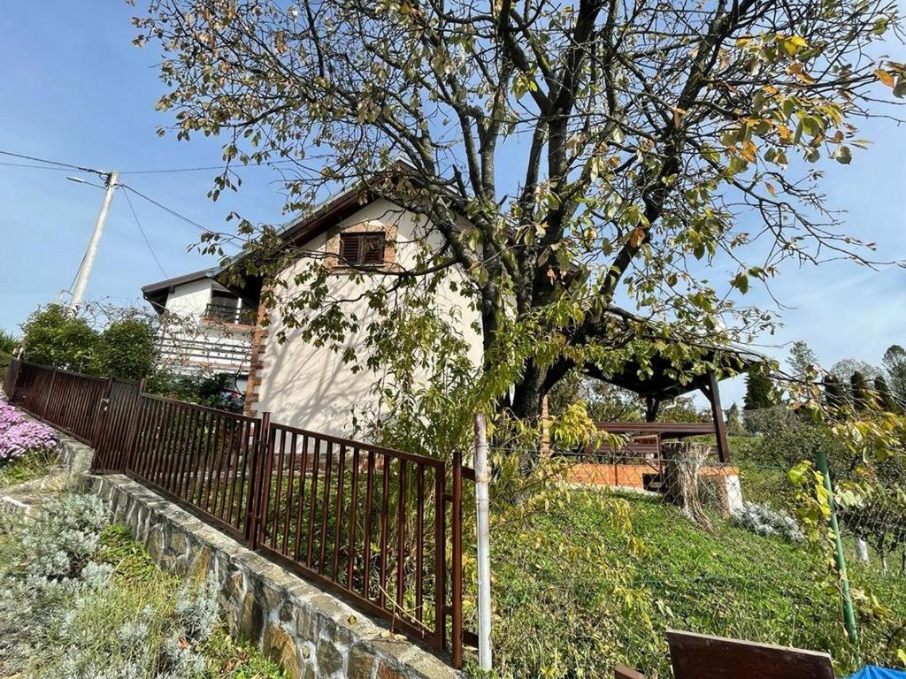 Holiday house with a parking space Krapinske Toplice, Zagorje - 20722 photo 1