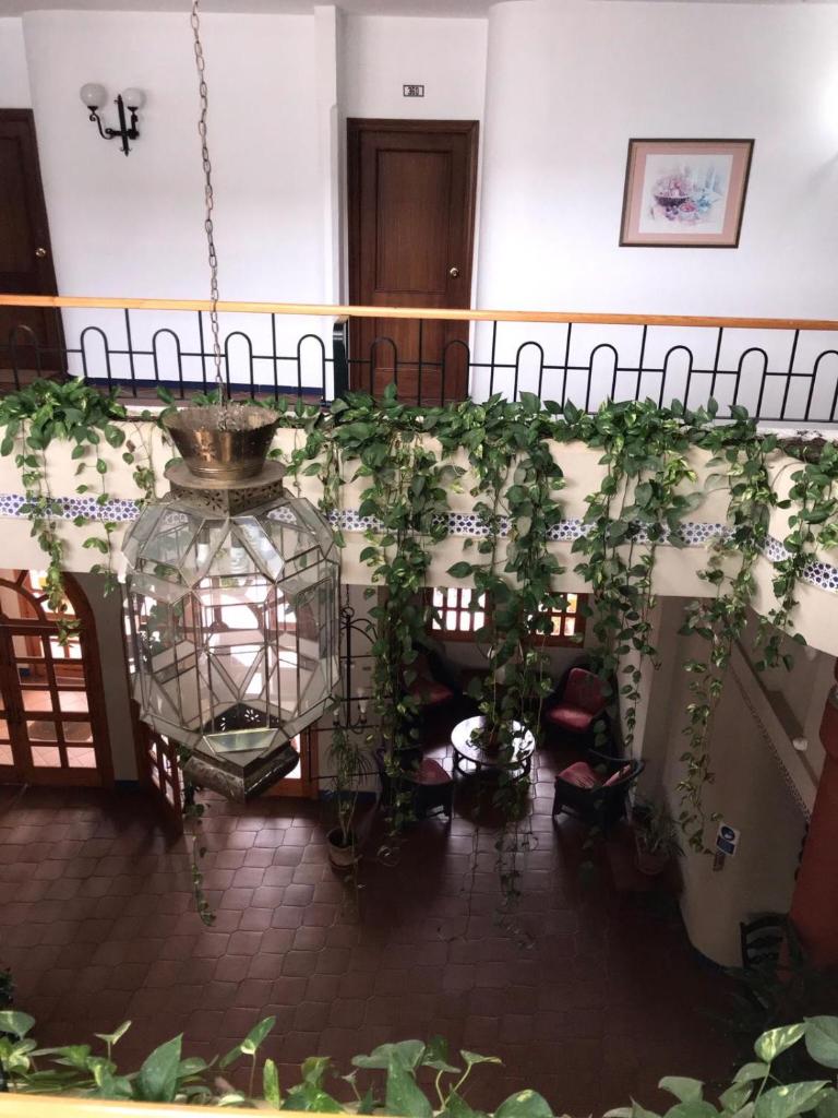 Hotel puente rey photo 3