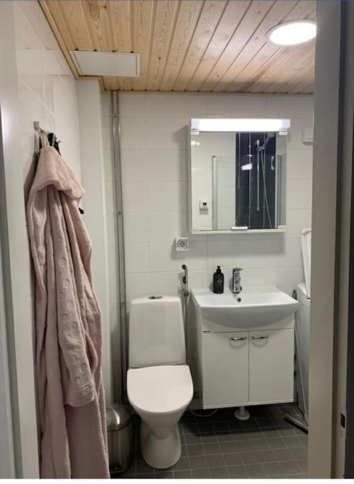 Valloittava tilapäisyksiö Mikkelissä photo 4