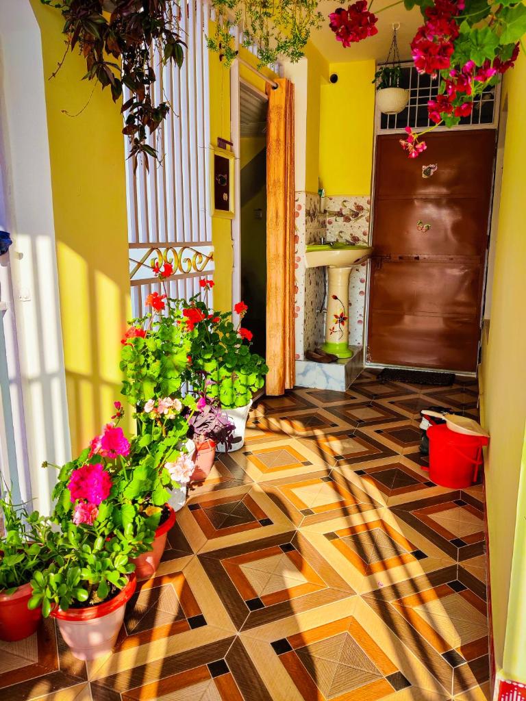 Namaste Homestay photo 2