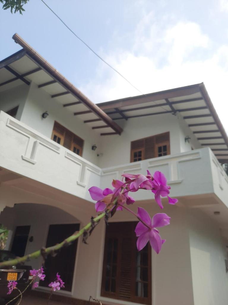 Mahendra photo 3