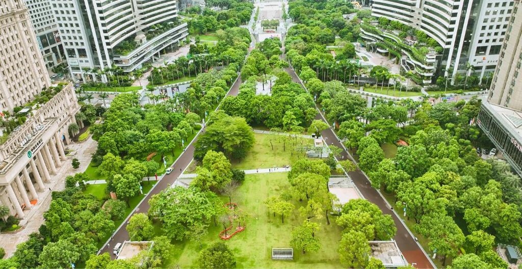 Grand Hyatt Guangzhou Room Type - 1 King Bed, Garden View