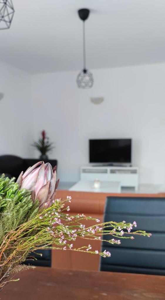 Ellas Modern Duplex City Center photo 2