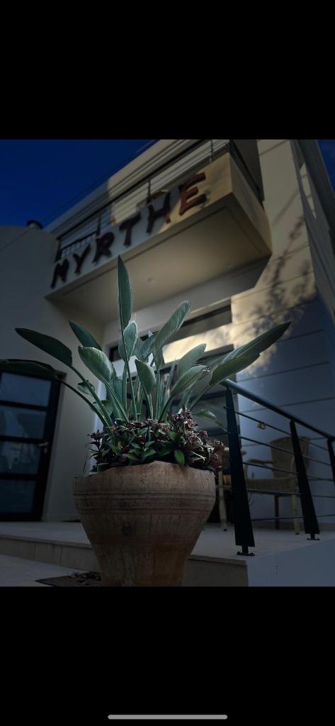 Myrthe Apartments photo 1