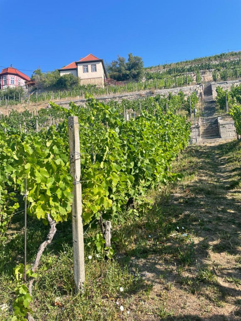 Ferienhaus Traminer im Weinberg photo 1