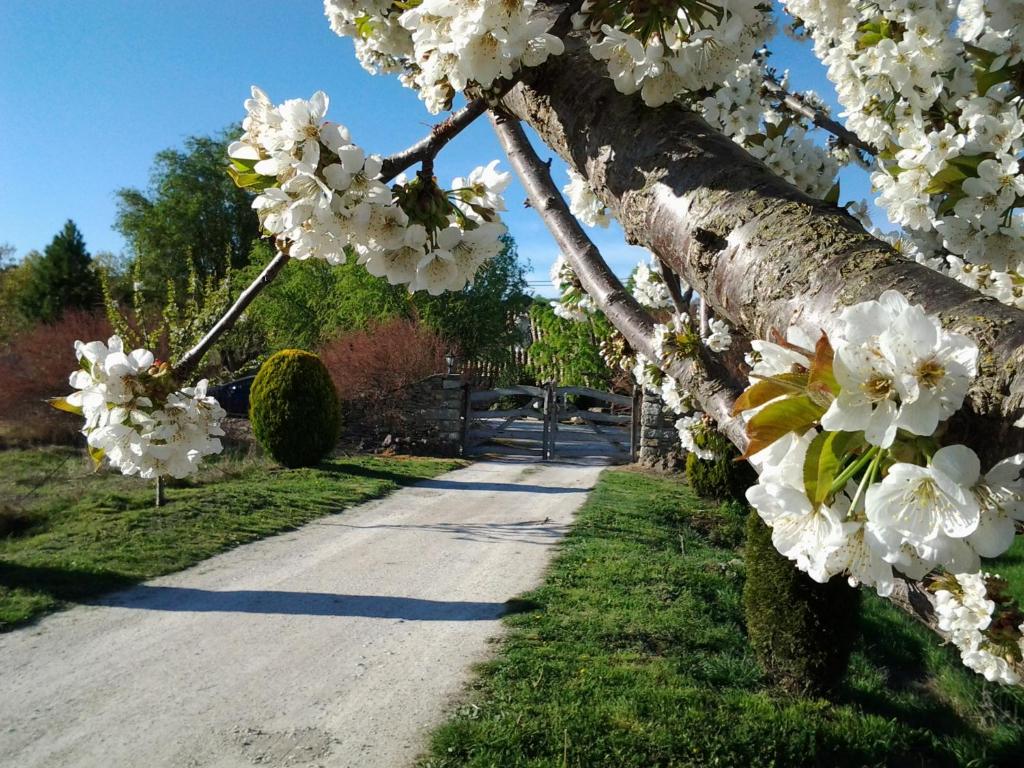 Casa Rural Torre Gargallo photo 4