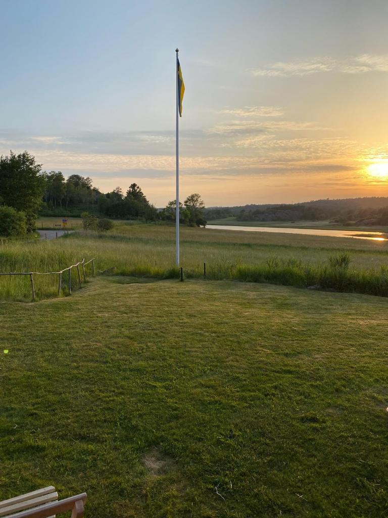 Änden på Säby Tjörn photo 4