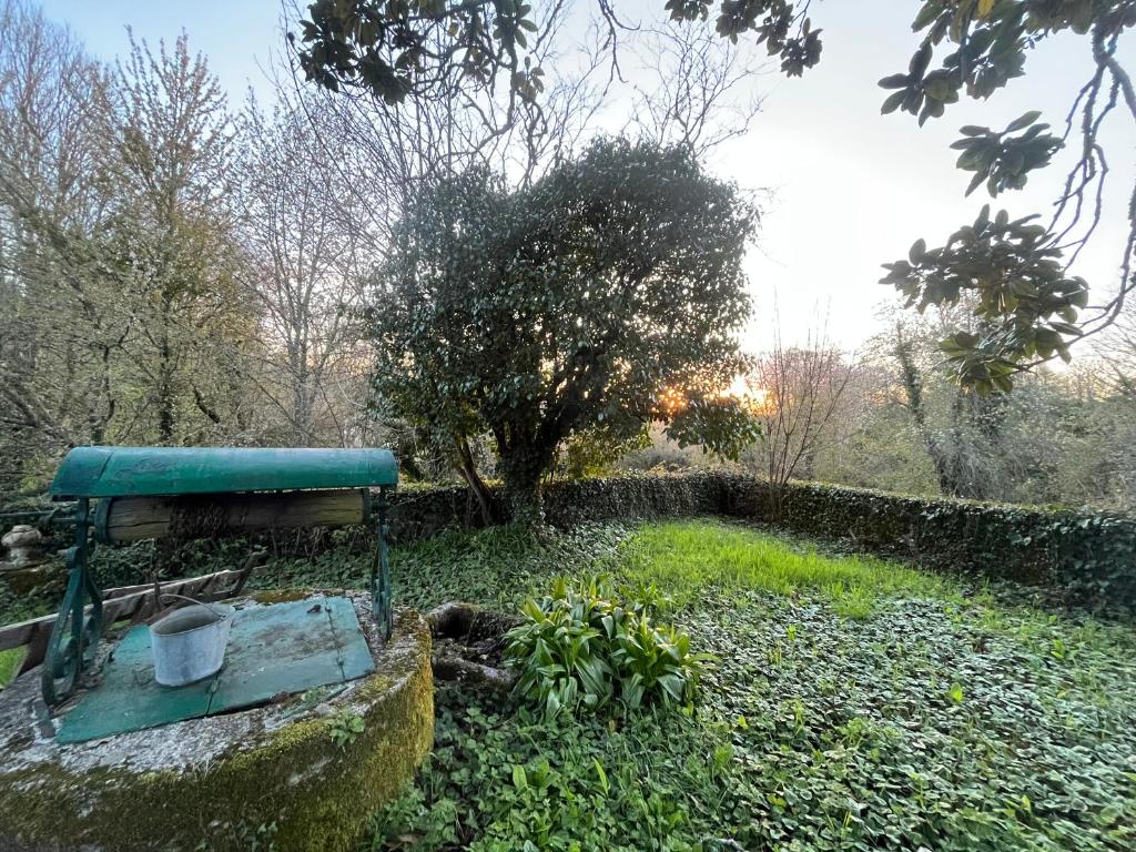 Domaine du Banaret - authentic stone house at the heart of Périgord Vert photo 4