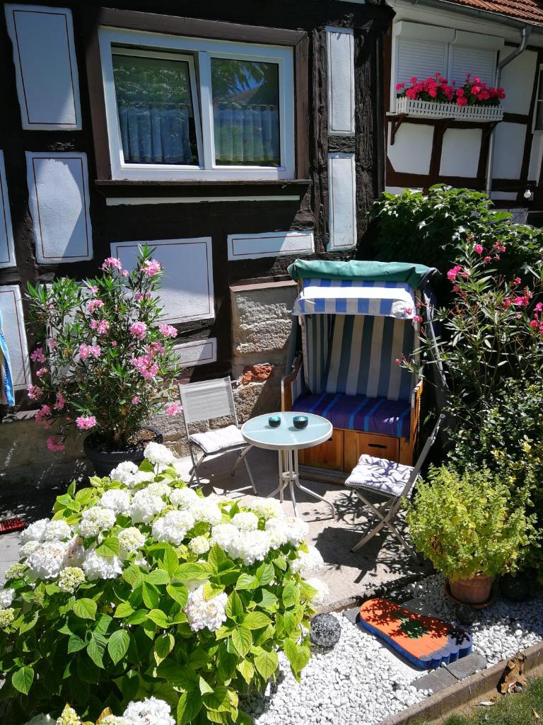 Perle im Zentrum photo 1
