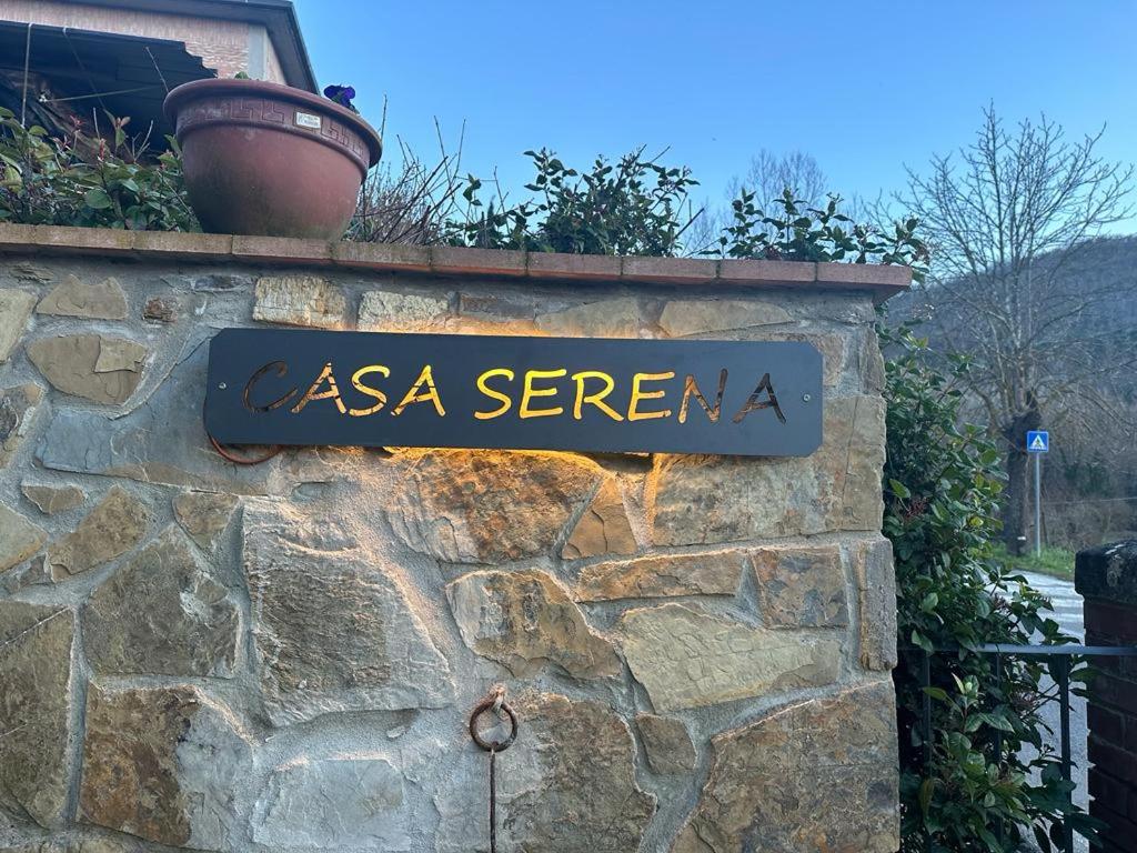 Casa Serena, Radda in Chianti, località Lucarelli. photo 3
