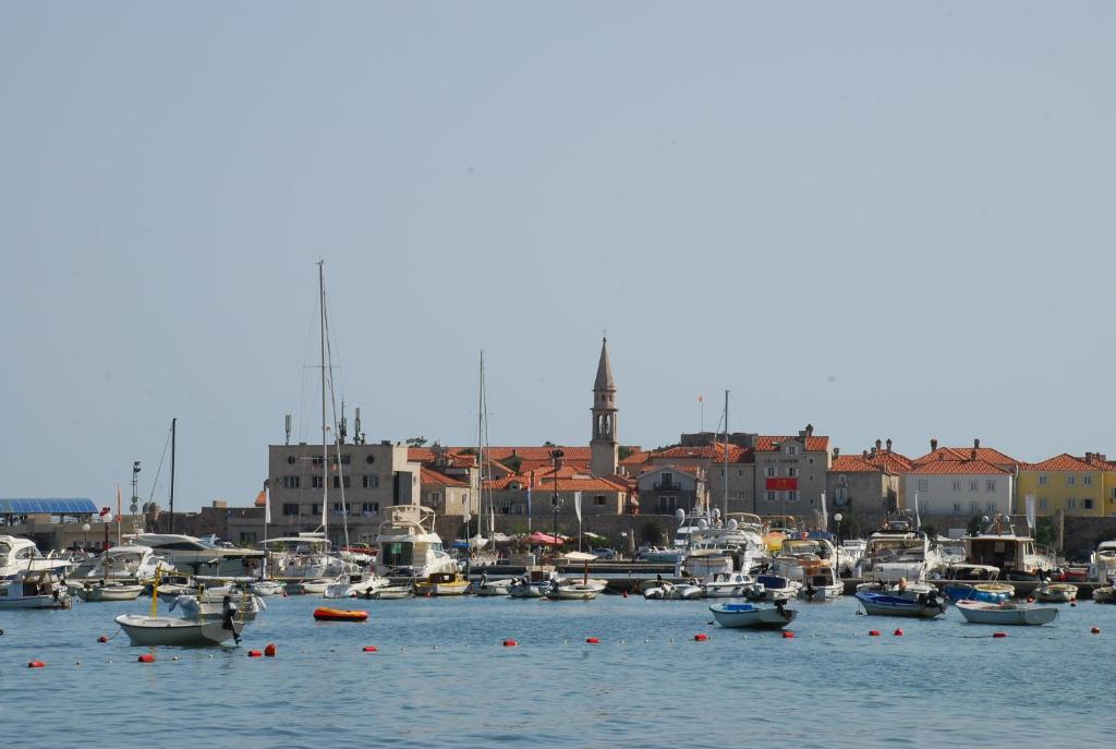 Двухместный (Двухместный номер «Комфорт» с 1 кроватью и балконом), Budva Inn Guest House