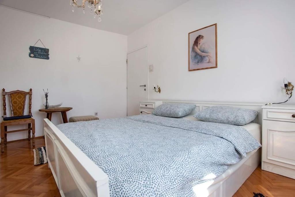 Apartments Villa Leylandia photo 1