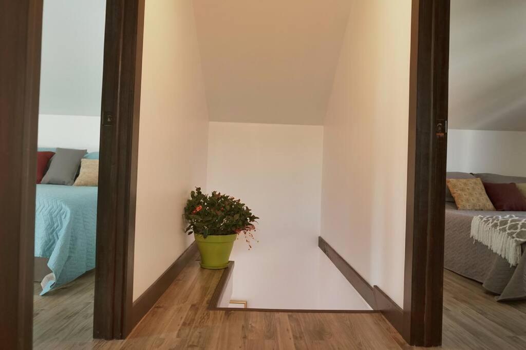 La petite maison du voisin photo 1