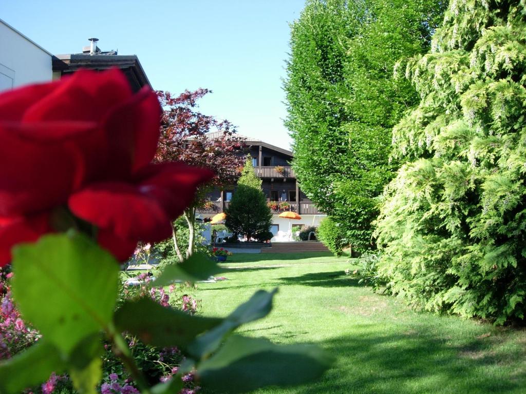 Residence Baumgartner photo 4