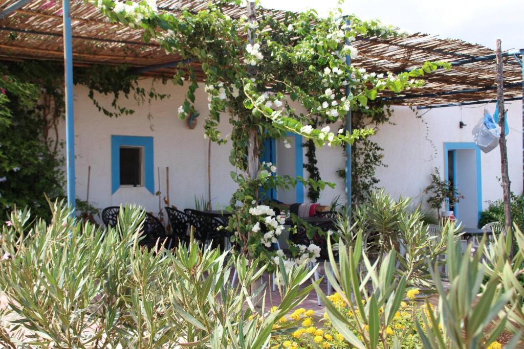 Riad Kebdana photo 1