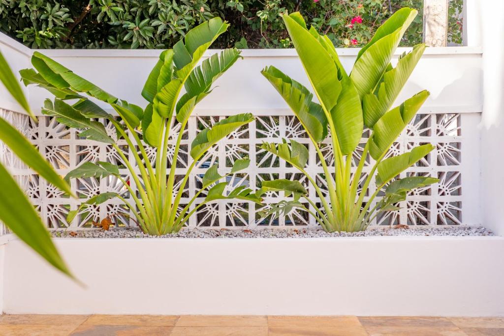 Refugios Parajuru - Casa Pequena photo 1