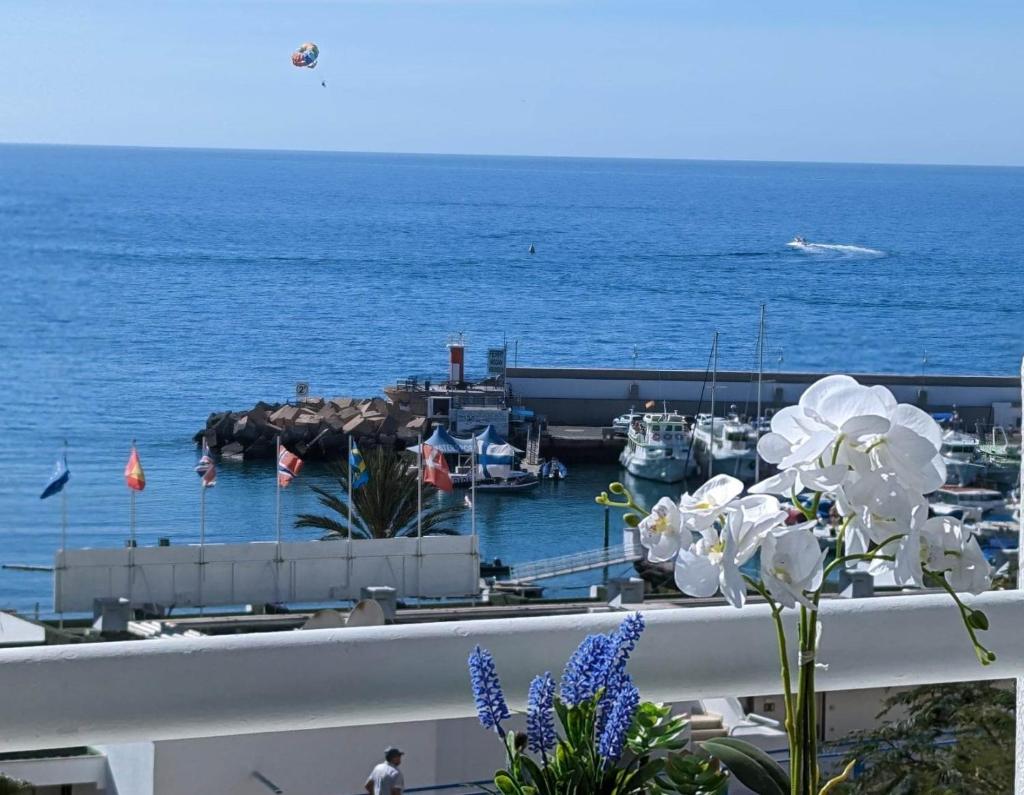 Beachfront studio apartment Puerto Rico photo 2