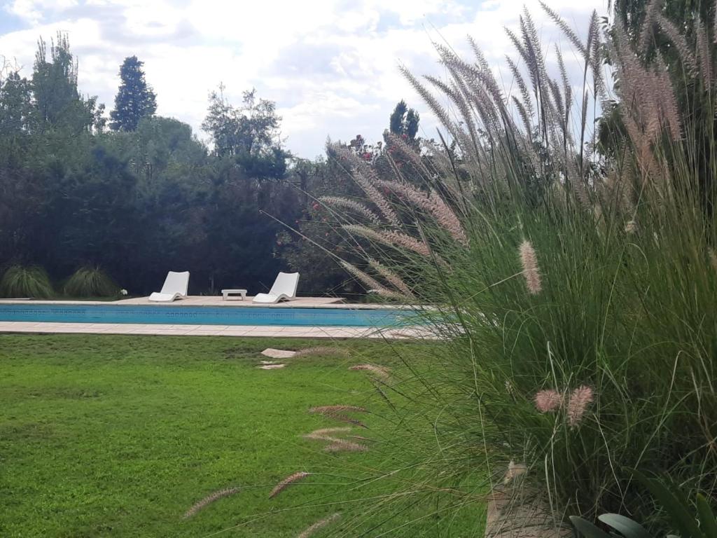 HABITACION CON PISCINA Y PARQUE en Chacras de Coria photo 1