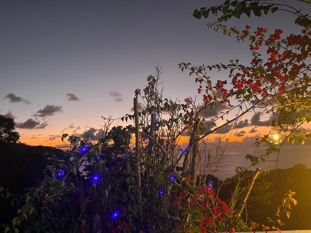 Casa Doro Romantic setting with golden sunset view photo 2