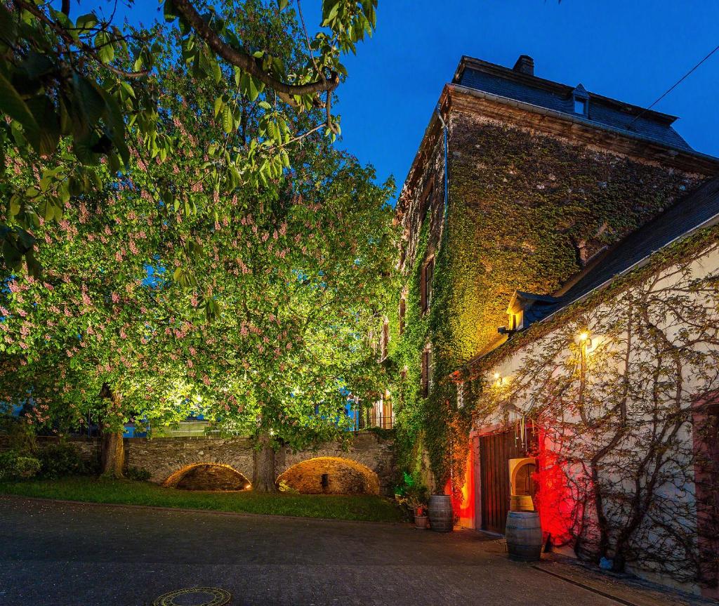 Ferienwohnung Sauvignon Blanc Weingut Zur Burg