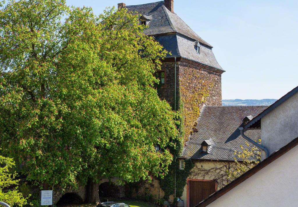 Ferienwohnung Sauvignon Blanc Weingut Zur Burg photo 1