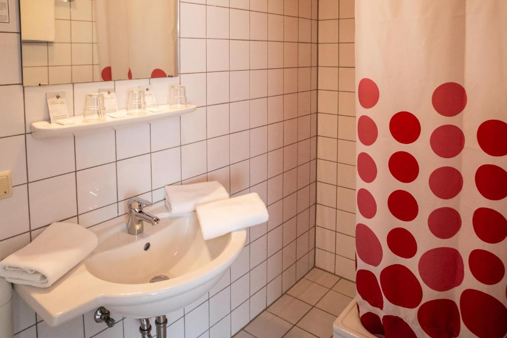 Europa-Haus-Bocholt - Bett & Bike photo 3